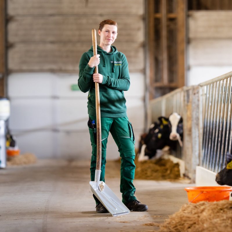 Eine Frau in grüner Arbeitskleidung steht in einem modernen Rinderstall und hält eine Schaufel. Neben ihr fressen mehrere Jungrinder an einer Futterraufe.