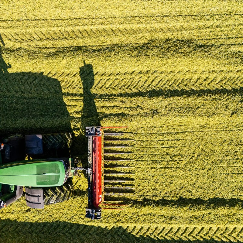 Diese Luftbildaufnahme blickt direkt nach unten auf einen gr&uuml;nen Traktor, der ein rotes Schwader-Anbauger&auml;t zieht. Der Traktor f&auml;hrt &uuml;ber ein intensiv gr&uuml;nes Feld, das deutlich sichtbare Reifenspuren und Schwaden von gem&auml;htem Gras zeigt. Ein langer, klar