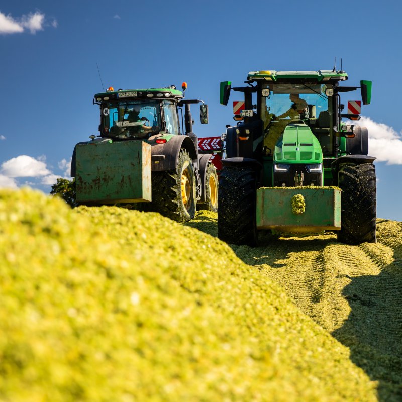 Zwei grüne Traktoren verdichten auf einem Silagehaufen gehäckseltes Futter, während tiefe Reifenspuren im Material zu sehen sind.
