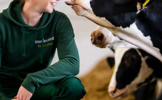 Eine Stallmitarbeiterin in grüner Arbeitskleidung hockt lächelnd neben einer Reihe schwarz-weißer Kühe. Eine Kuh streckt spielerisch die Zunge in ihre Richtung. Im Hintergrund stehen weitere Kühe im Futterbereich.