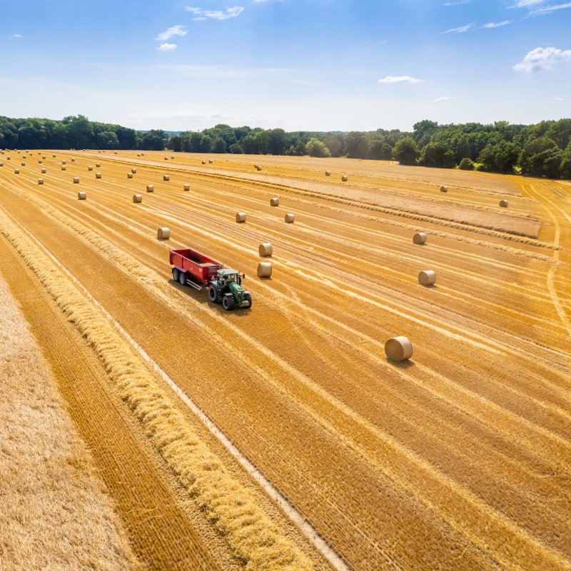 Luftaufnahme eines gro&szlig;en, abgeernteten Stoppelstandes, auf dem zahlreiche runde Strohballen verteilt liegen. Ein gr&uuml;ner Traktor mit einem roten Anh&auml;nger f&auml;hrt mittig durch das Feld. Im Hintergrund begrenzt ein gr&uuml;ner Waldstreifen die Landschaft unter lei