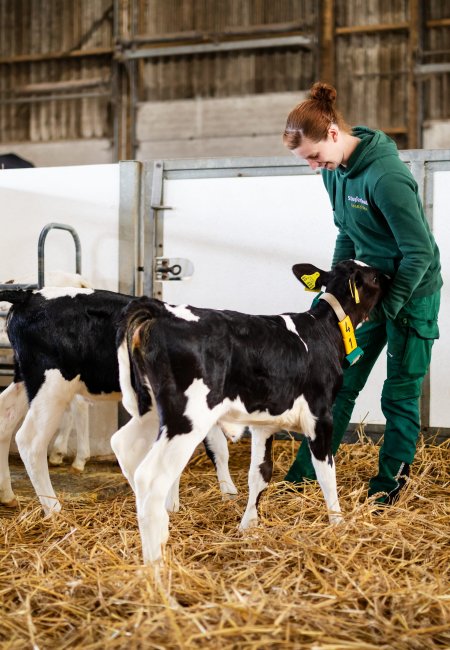 Eine Stallmitarbeiterin in gr&uuml;ner Arbeitskleidung steht in einer mit Stroh ausgelegten Box und streichelt ein junges schwarz-wei&szlig;es Kalb. Ein weiteres Kalb steht im Hintergrund an einer Futterstelle.