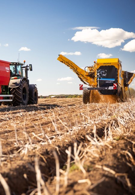 R&uuml;ckansicht eines Traktors mit rotem Krampe-Anh&auml;nger und eines gelben Ropa-Kartoffelroders bei der Arbeit auf einem abgeernteten Feld.