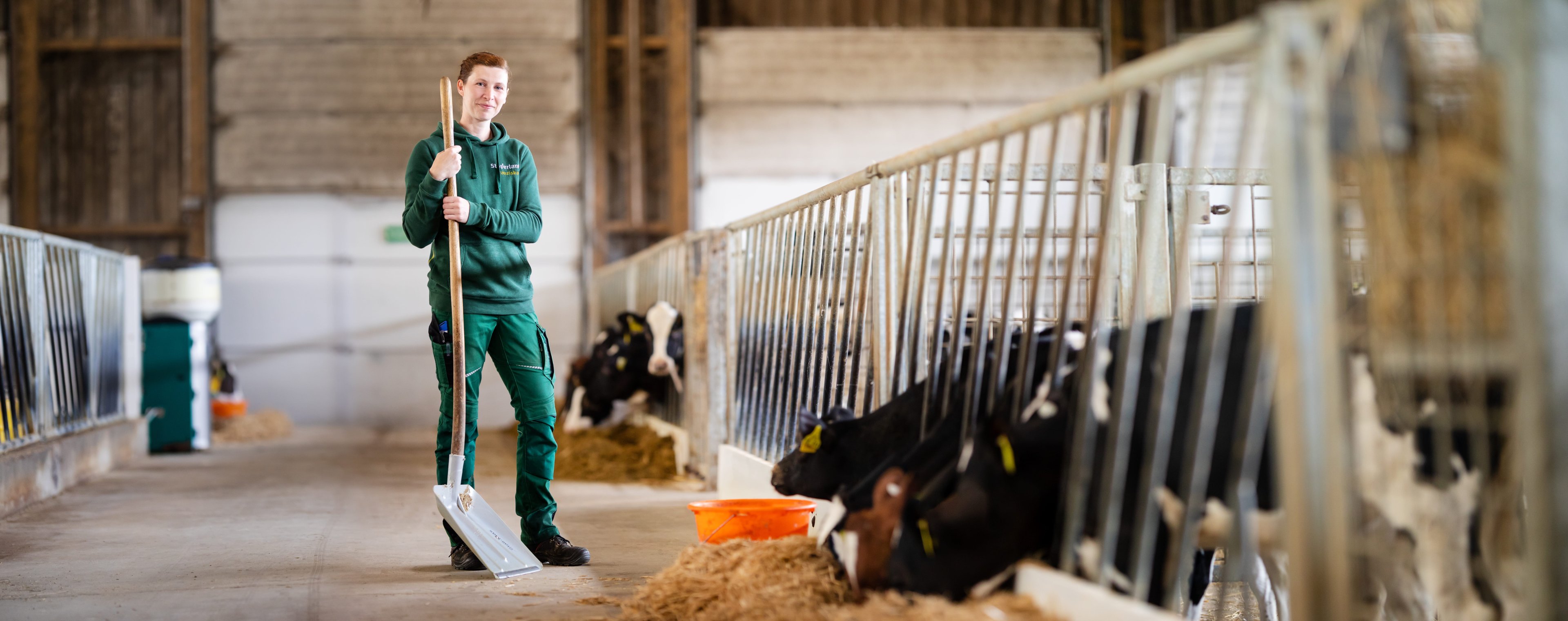 Eine Frau in grüner Arbeitskleidung steht in einem modernen Rinderstall und hält eine Schaufel. Neben ihr fressen mehrere Jungrinder an einer Futterraufe.